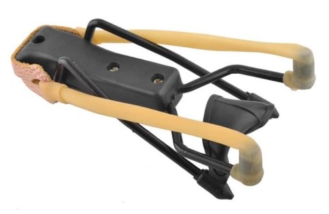 Proca P1766