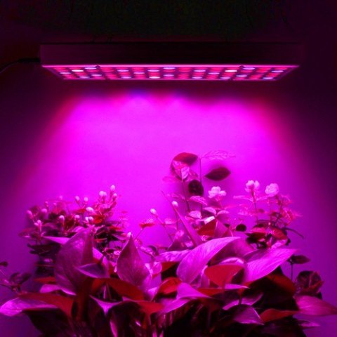Lampa/ panel 225 LED do wzrostu uprawy roślin