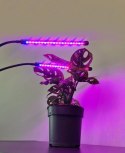 Lampa 20 LED 2szt. do wzrostu roślin Gardlov 19241