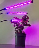 Lampa 20 LED 3szt. do wzrostu roślin Gardlov 19242