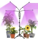 Lampa 20 LED 4szt. do wzrostu roślin Gardlov 19388