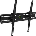Uchwyt LCD KG-1004 23-65 cali