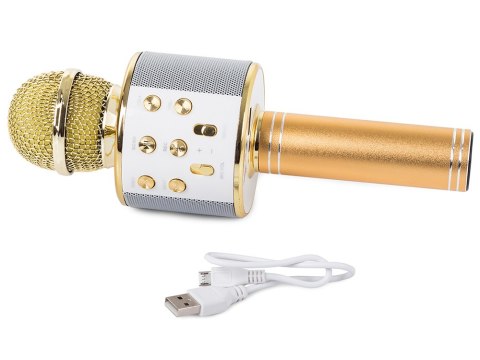 Mikrofon bezprzewodowy bluetooth głośnik radio fm