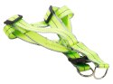 SZELKI DLA PSA KOTA + SMYCZ ODBLASKOWA 2,5CM KOLOR ZIELONY