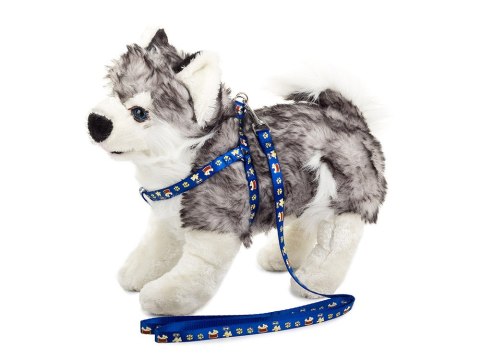 Smycz z szelkami szelki dla psa kota 1,5cm