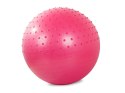 PIŁKA GIMNASTYCZNA FITNESS 55cm POMPKA DO ĆWICZEŃ