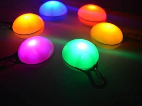 Świecąca lampka led na obrożę zawieszka pies kot