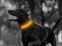 Obroża świecąca led dla psa i kota regulowana 59cm