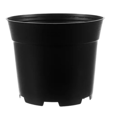 Doniczka produkcyjna - zestaw 200szt