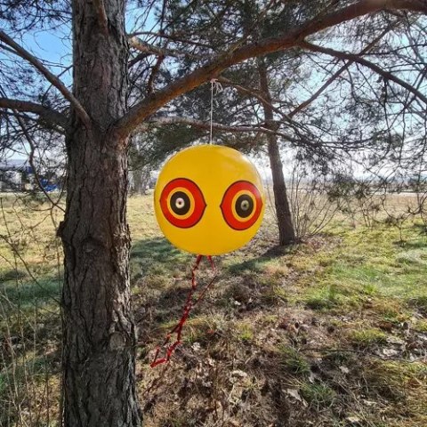 Odstraszacz ptaków- balon Repest 21026