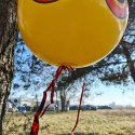 Odstraszacz ptaków- balon Repest 21026