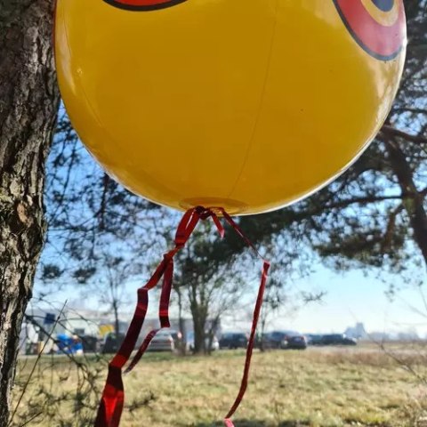 Odstraszacz ptaków- balon Repest 21026
