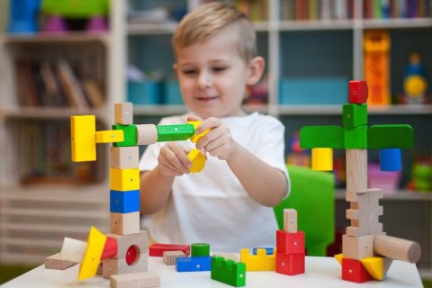 Blocks wooden magnetic Kooglo Basic Color 50 el.