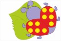 Educational mosaic for younger children