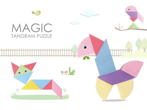 Magnetic Tangram Blocks - Magic Tangram 100pcs.