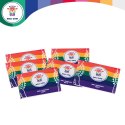Kolorowy proszek Holi zestaw 6x100g Holi Cow 27335